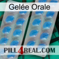 Gelée Orale 23